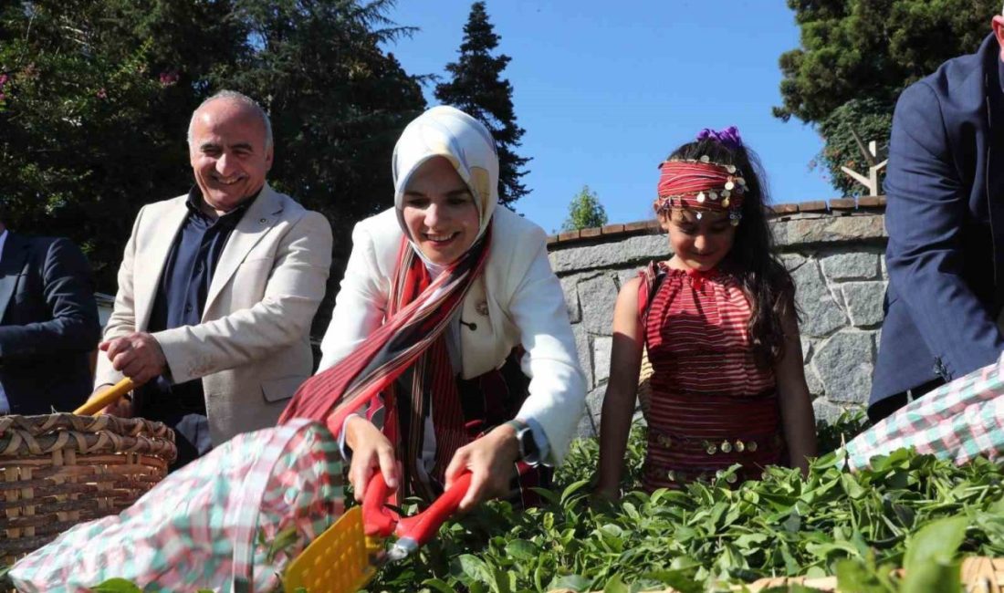 Bakan Göktaş’tan Rize’de Aile Yılı kapsamında ziyaretler Aile ve Sosyal Hizmetler Bakanı Mahinur Özdemir Göktaş, ‘Aile Yılı’