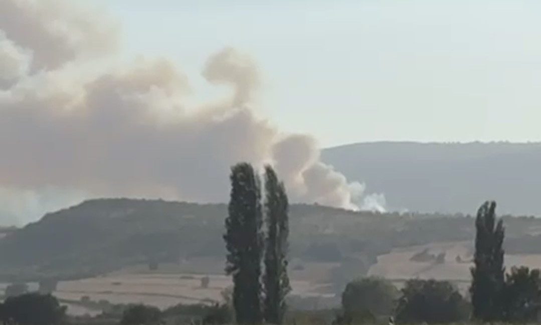 Balıkesir’in Susurluk ilçesinde ormanlık alanda yangın çıktı. Edinilen bilgiye göre,