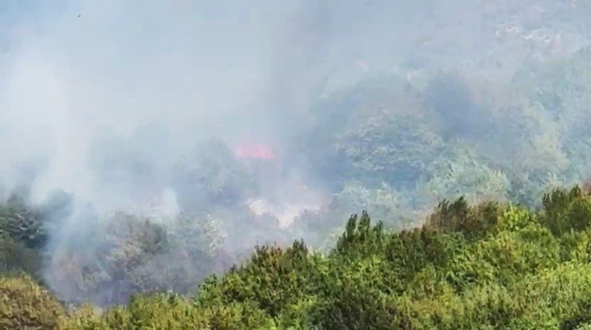 Bartın’ın Amasra ilçesine bağlı Ahatlar köyü mevkisinde çıkan orman yangınını