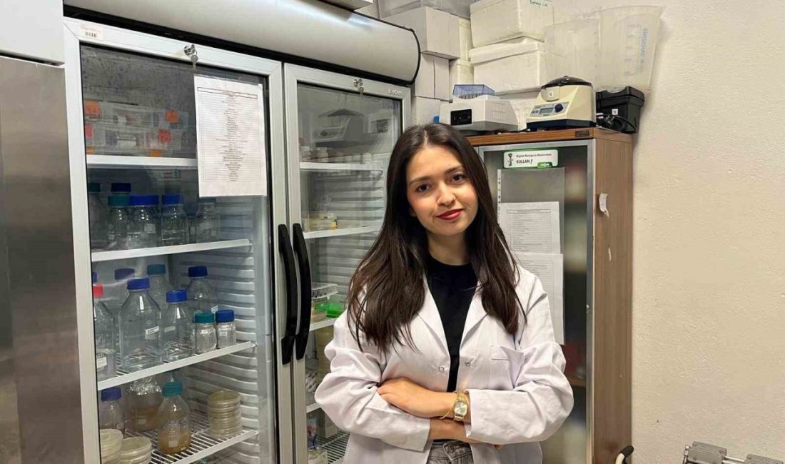 Bartın Üniversitesinin (BARÜ) TÜSEB tarafından desteklenen projesiyle bakteriyel kaynaklı mikrobiyal