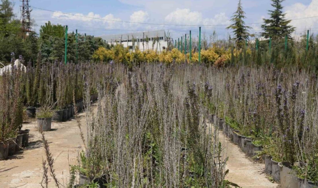 Battalgazi Belediyesi 1,5 yılda ilçedeki 75 parkı yenilerken 6 yeni