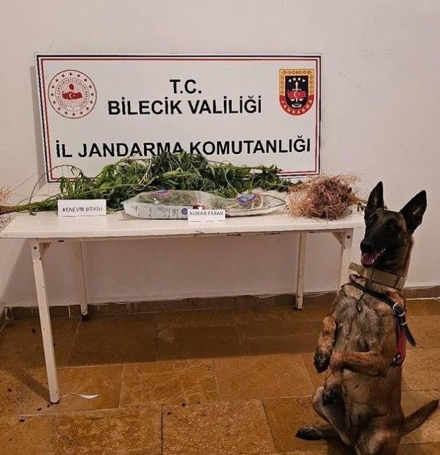 Bilecik’te jandarma ekipleri, uyuşturucu ile mücadele kapsamında gerçekleştirdikleri operasyonda, yasa