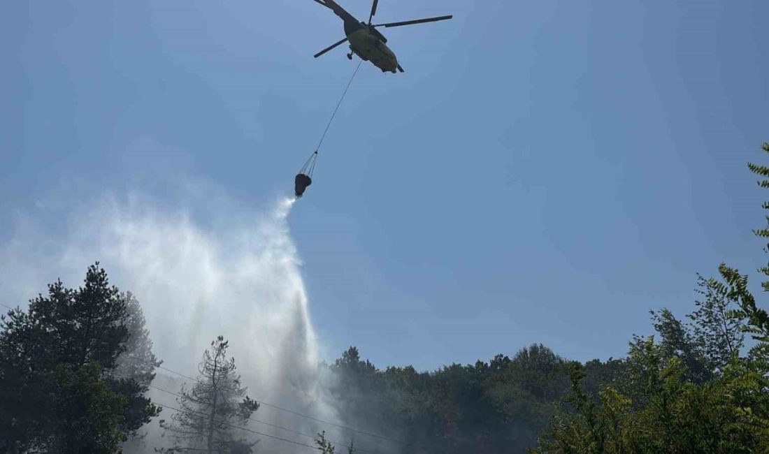 Bolu’da ormanlık alanda çıkan yangın, havadan ve karadan yapılan müdahale