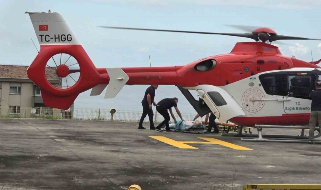 Türkiye’de en çok hava ambulansı kullanılan bölgelerden biri olan Doğu