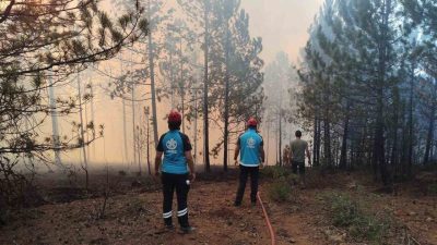 Bursa’da geçtiğimiz günlerde birçok noktada çıkan orman yangınlarında, yangın söndürme