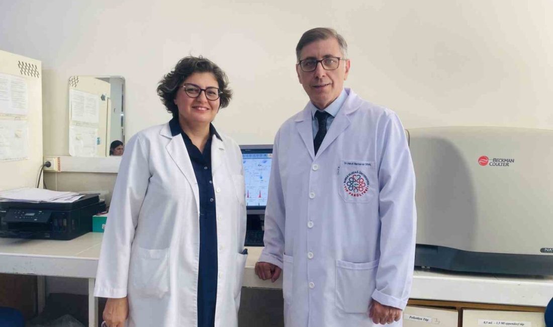 Bursa Uludağ Üniversitesi (BUÜ) akademisyenlerinin aralarında bulunduğu uluslararası bir araştırma