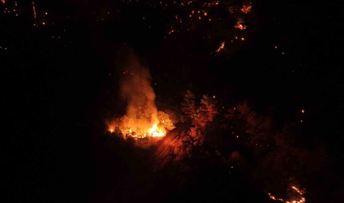 Çanakkale’de Bayramiç ilçesinde çıkan orman yangını ekiplerin müdahalesi sonrası kontrol
