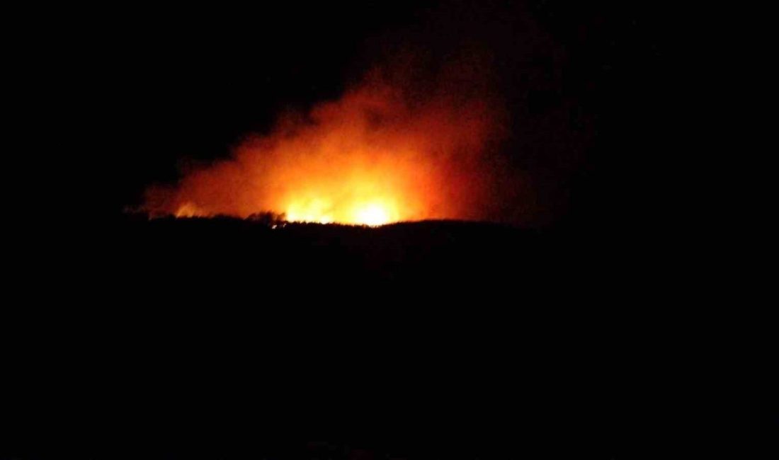 Çanakkale’nin Bayramiç ilçesinde çıkan orman yangınına Orman Bölge Müdürlüğü ekipleri