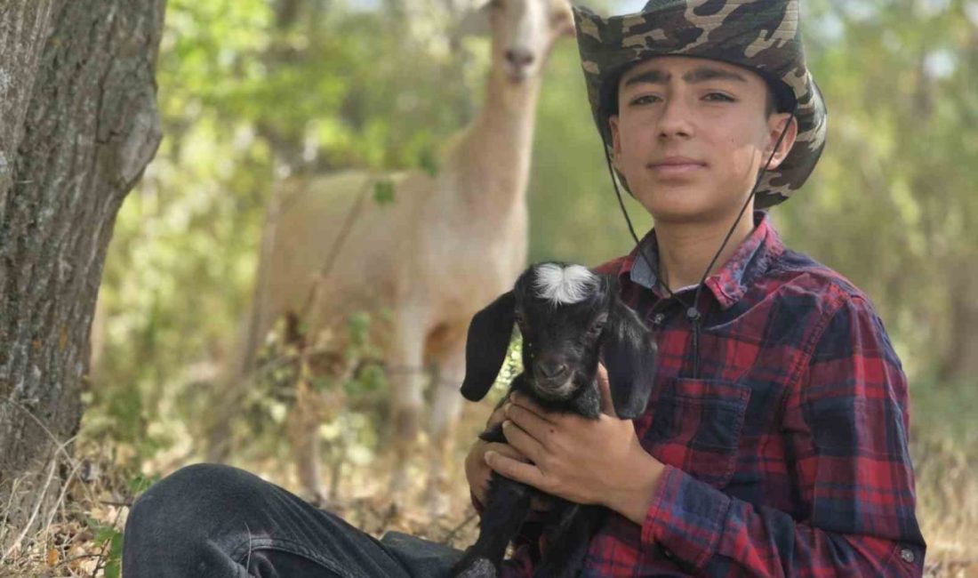 Çantasında taşıdığı oğlağı ile gönülleri ısıtmıştı, şimdi oğlağına isim arıyor Yozgat’ta çobanlık yapan Muhammed Emre Başar, minik oğlağına isim arıyor.
