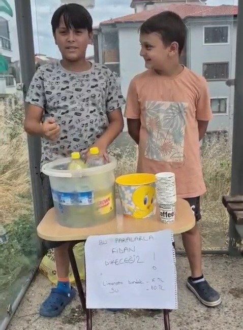 Çocuklardan örnek davranış Karabük’ün Safranbolu ilçesinde bir grup çocuk, orman yangınlarında zarar gören