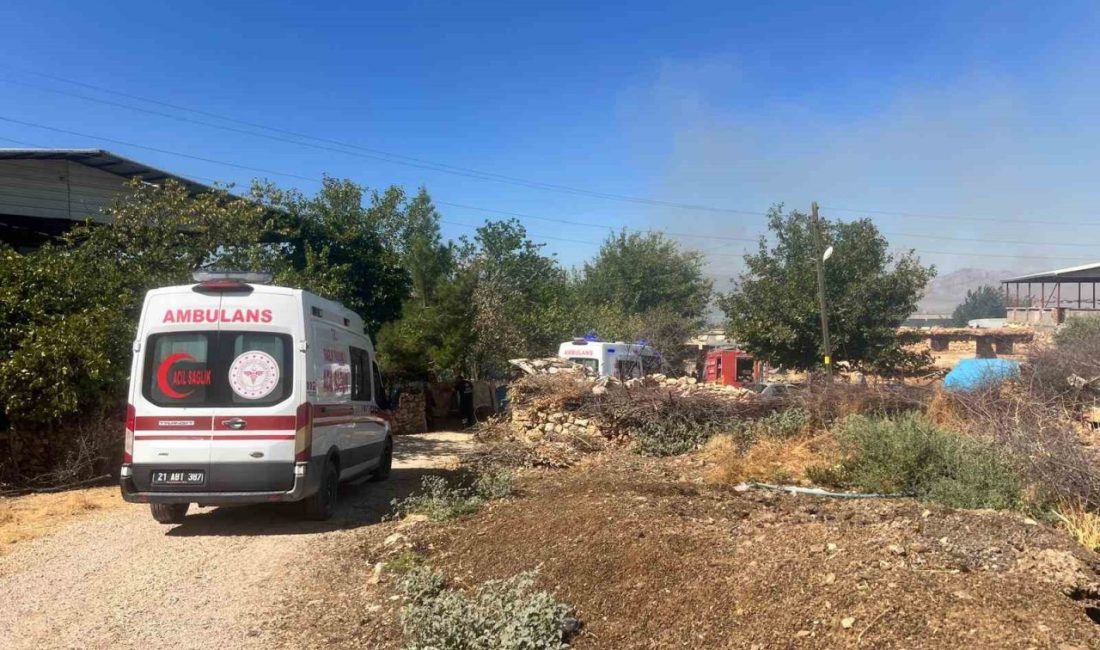 Diyarbakır’da Hani ilçesinin 2 kırsal mahallesinde çıkan orman yangınına ekipler