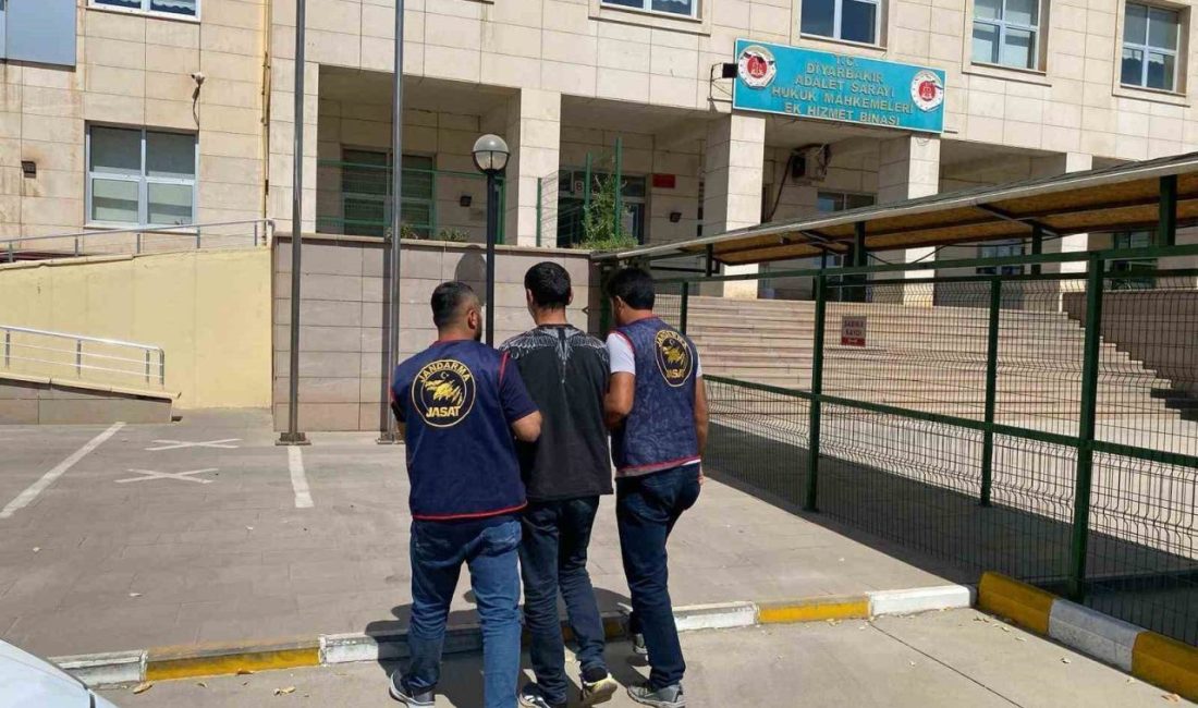 Diyarbakır’da haklarında kesinleşmiş hapis cezası bulunan 47 kişi yakalandı Diyarbakır’da jandarma ekiplerince düzenlenen operasyonlarda haklarında kesinleşmiş hapis cezası bulunan