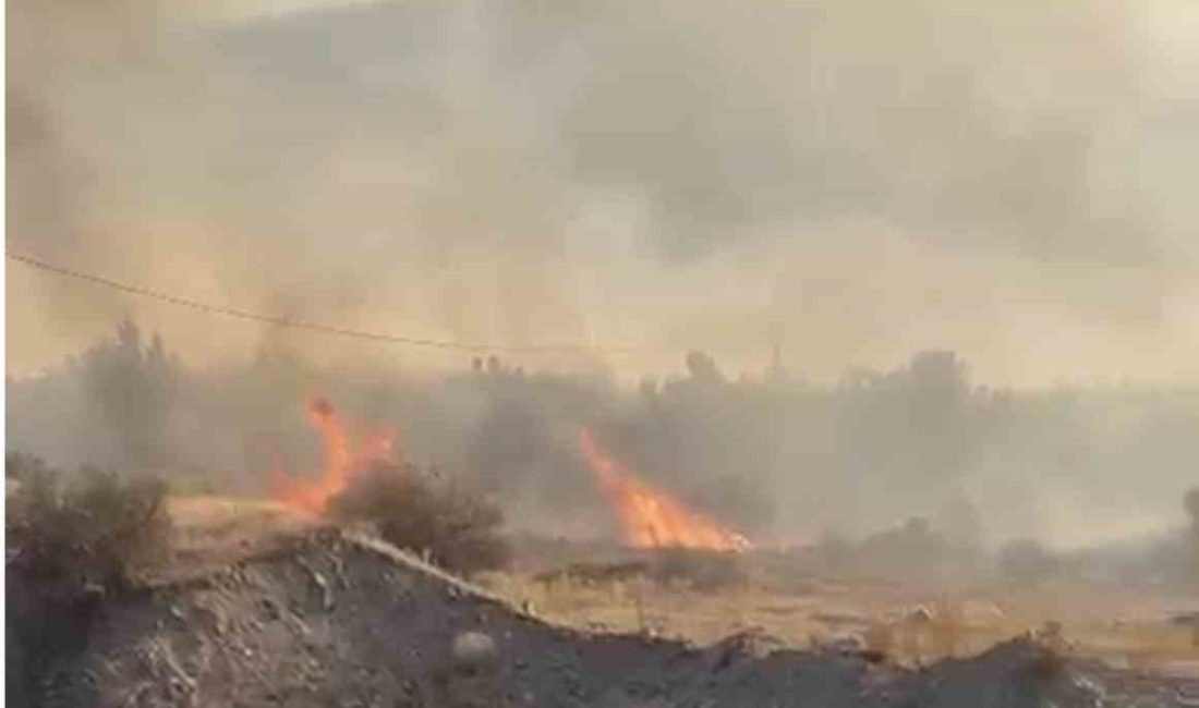 Elazığ’ın Sakabaşı köyünde çıkan örtü yangını söndürüldü. Edinilen bilgiye göre,