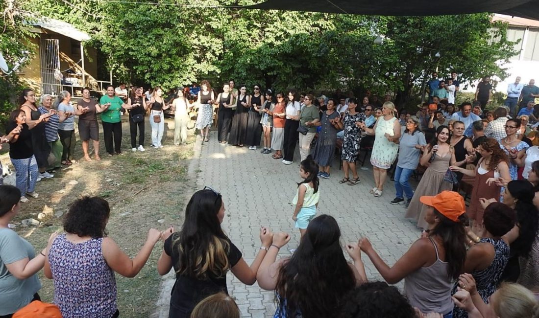 Erzincan merkeze bağlı Tatlısu köyünde bu sene ikincisi düzenlenen Çilek