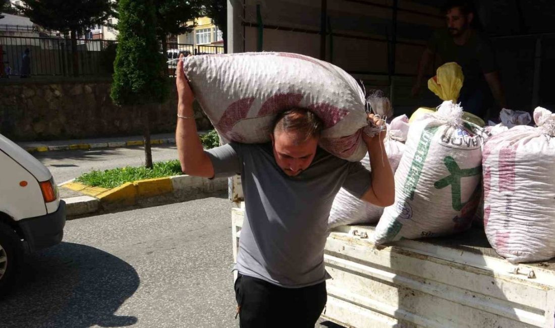 Giresun’da serbest piyasada fındık, Toprak Mahsulleri Ofisi’nin (TMO) açıkladığı taban