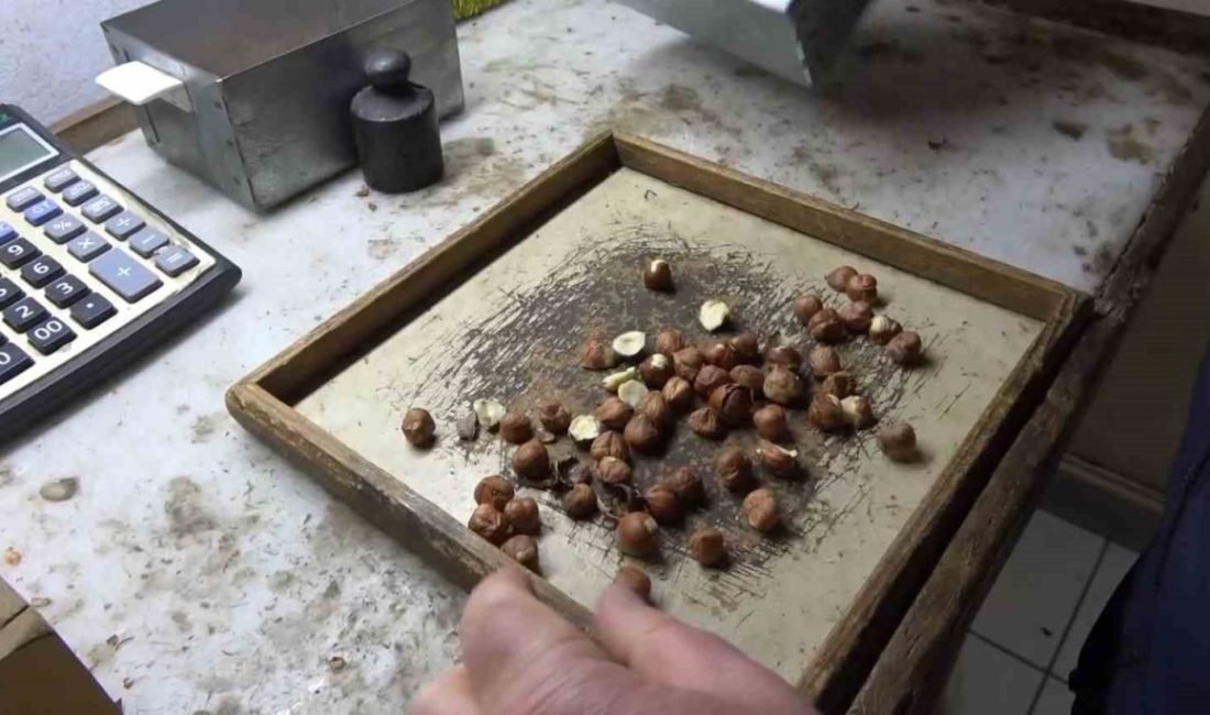 Fındık üreticilerinin en çok ihtiyaç duyduğu hesaplama araçlarından biri olan