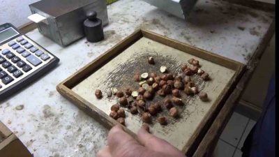 Fındık üreticilerinin en çok ihtiyaç duyduğu hesaplama araçlarından biri olan