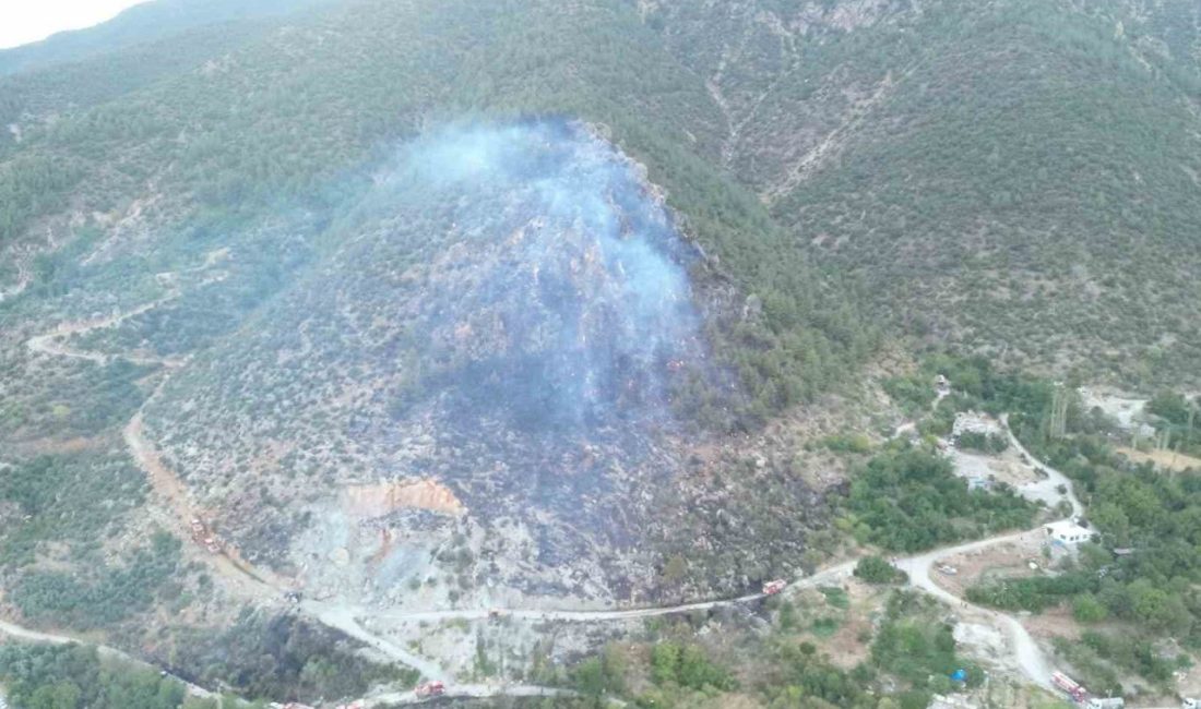 Hatay’ın Kırıkhan ilçesinde ormanlık alanda çıkan yangın kontrol altına alındı.