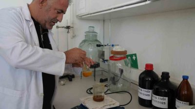 Iğdır Üniversitesi, Ağrı Dağı ve Pamuk Dağı eteklerinde 1250 rakımlı