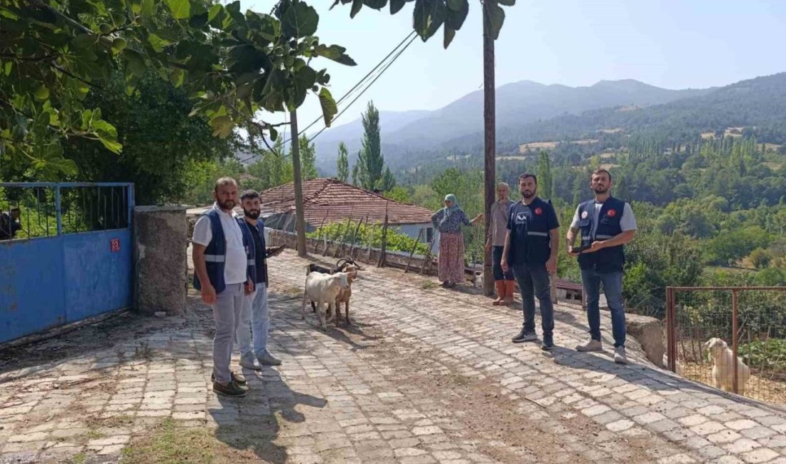 Balıkesir’in Sındırgı ilçesinde meydana gelen 6,1 büyüklüğündeki deprem sonrası, hasar