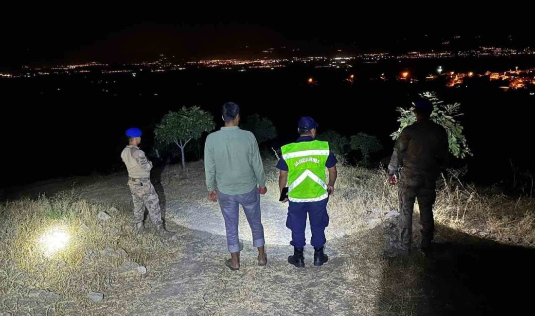 Aydın’ın Koçarlı ve Sultanhisar ilçelerinde incir hırsızlığına yönelik jandarma ekiplerince