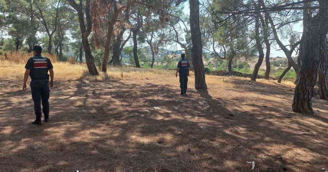 Jandarmadan orman devriyesi Aydın’ın Efeler, Köşk, Karacasu ve Sultanhisar ilçelerinde sahaya inen jandarma