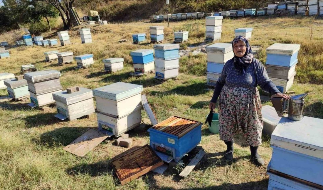 Keşan’da arıcılara yönelik bilgilendirme yapıldı Edirne’nin Keşan ilçesinde üreticilerin arılıklarında kontroller gerçekleştiren İlçe Tarım ve
