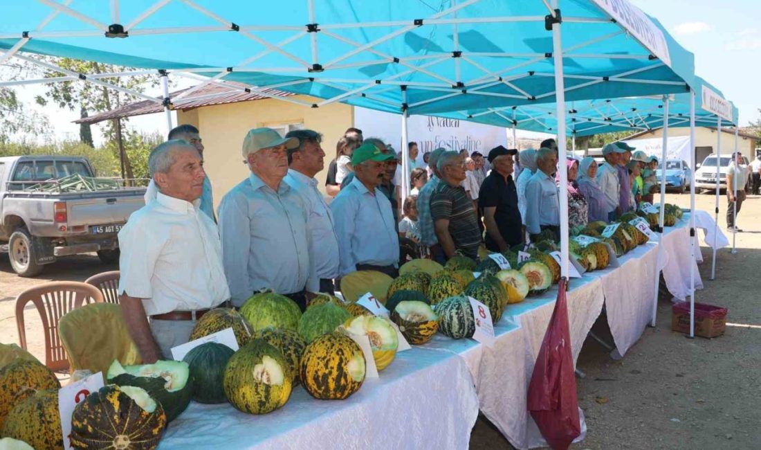Kula’da ilk kez kavun festivali düzenlendi Manisa’nın Kula ilçesine bağlı Ayvatlar Mahallesi, bu yıl ilk kez