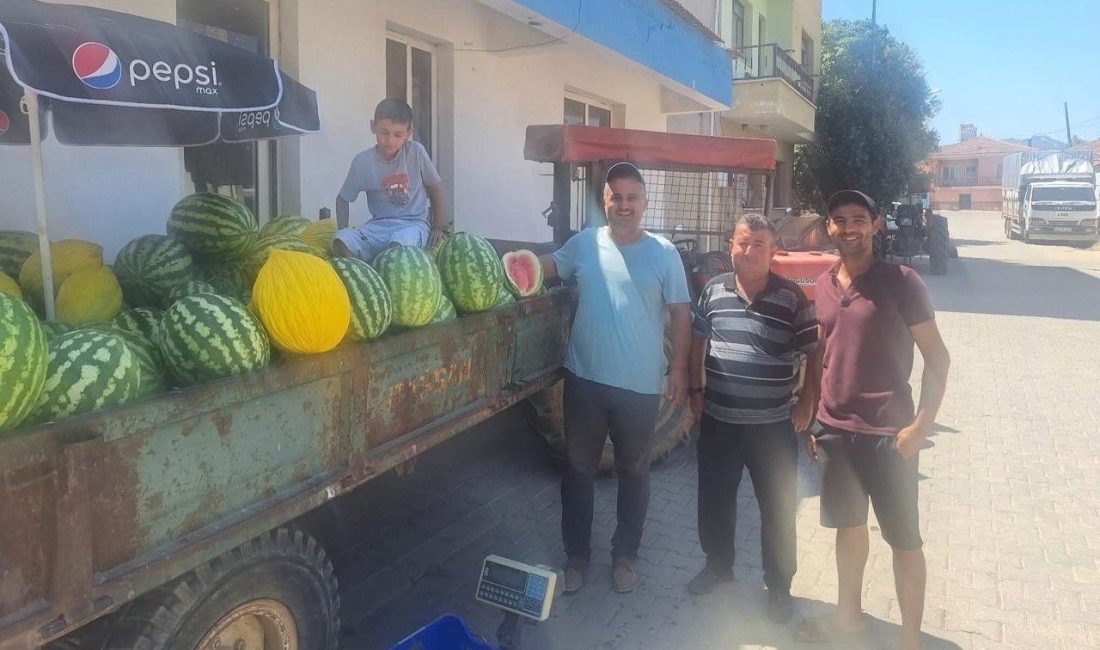 Artan üretim maliyetleri nedeniyle birçok bölgede kavun ve karpuz tarlada