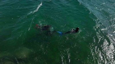 Ünlü şarkıcı Mehmet Çevik şimdide balık adam oldu. Yeni şarkısına