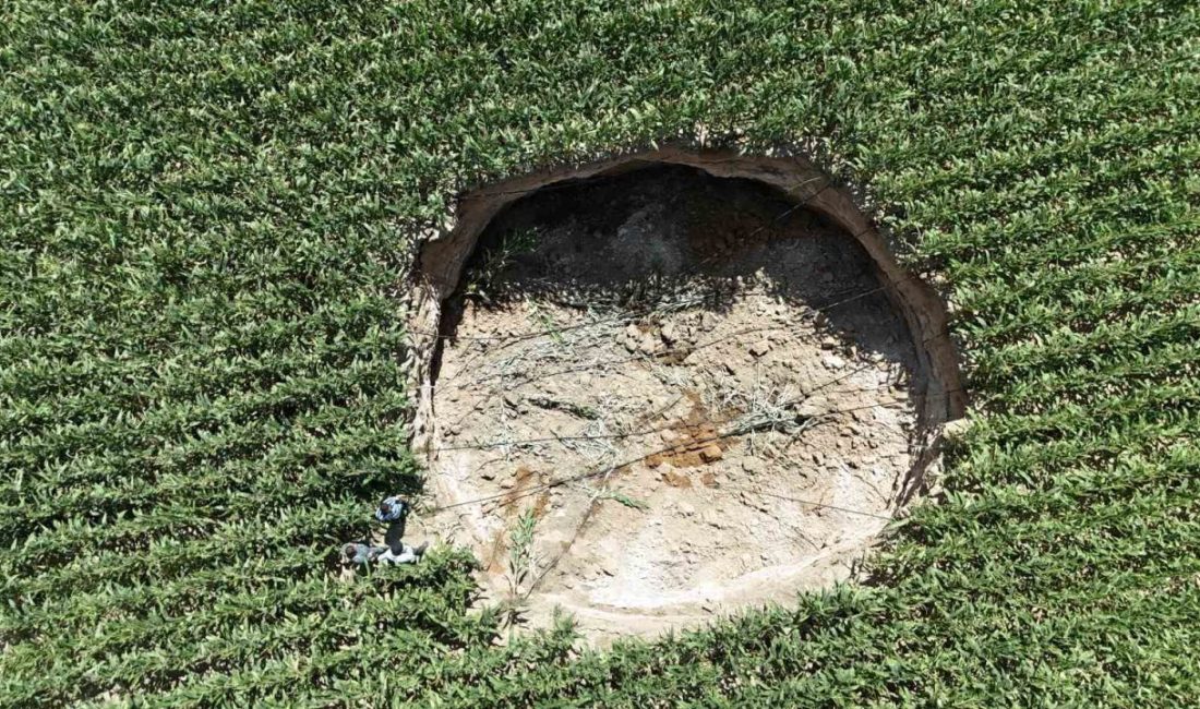 Mısır tarlasında 15 metre genişliğinde obruk oluştu Karaman’da 15 metre çapında, yaklaşık 5 metre derinliğinde yeni bir