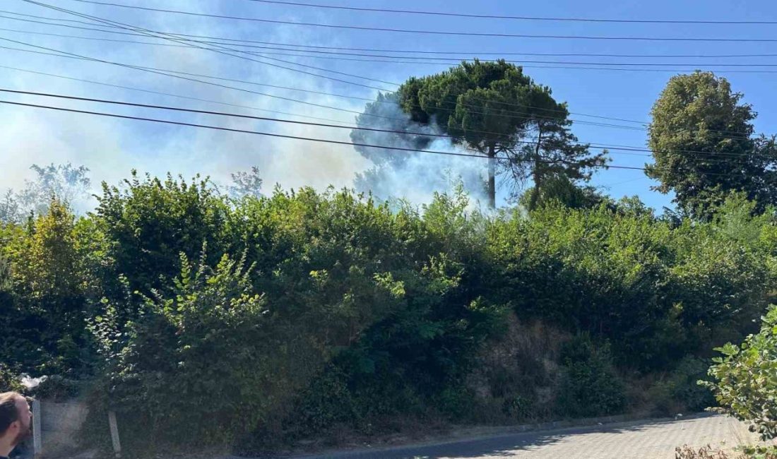 Zonguldak’ta Terakki Mahallesinde çıkan orman yangını ekipleri harekete geçirdi. Edinilen