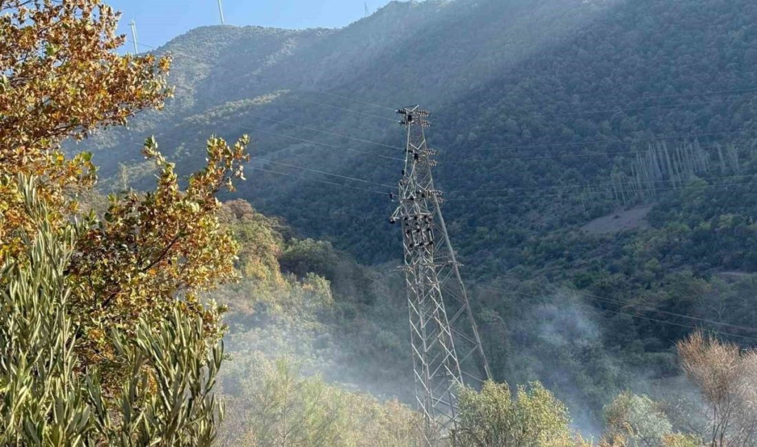 Osmaniye’nin Bahçe ilçesinde ormanlık alanda çıkan yangın, ekiplerin havadan ve