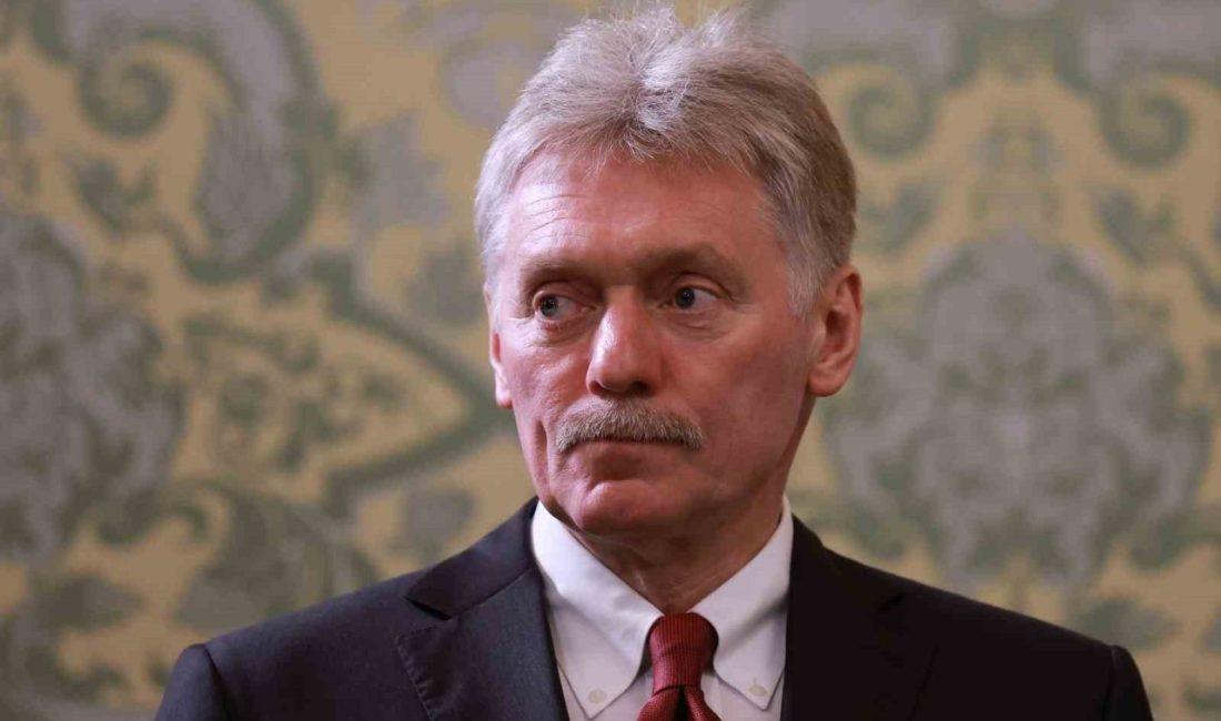 Kremlin Sarayı Sözcüsü Dmitriy Peskov, Rusya Devlet Başkanı Vladimir Putin