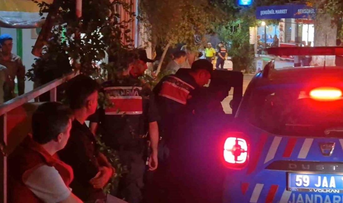 Tekirdağ’ın Şarköy ilçesindeki orman yangınıyla ilgili gözaltına alınan şahıs, çıkarıldığı