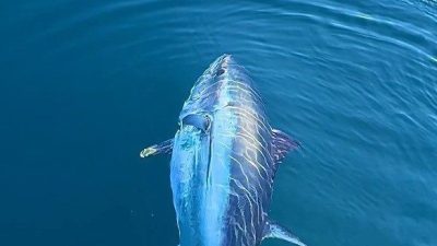 Beslenme uzmanları, selenyumun düzenli ve yeterli miktarda alınmasının kalp-damar sağlığı