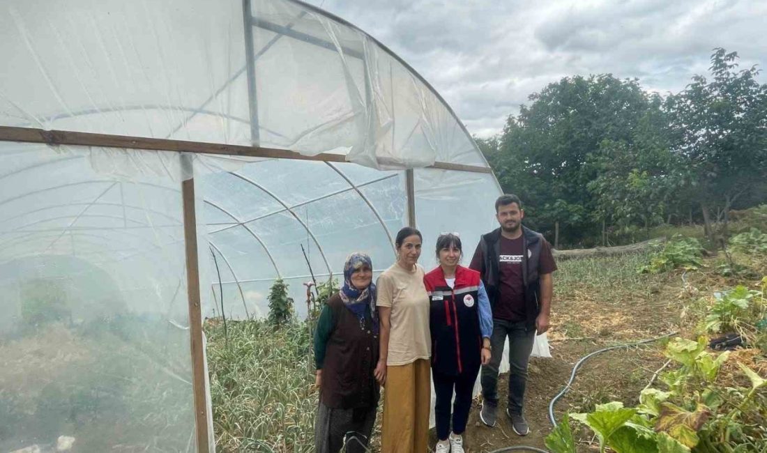 Sinop’ta kadın üreticilerin tarımsal üretimdeki rolünü güçlendirmek ve aile işletmelerini