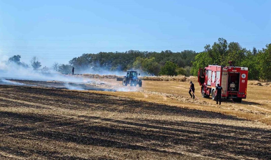 Tekirdağ’ın Malkara ilçesinde çıkan yangında 50 dönümlük biçilmiş buğday tarlası
