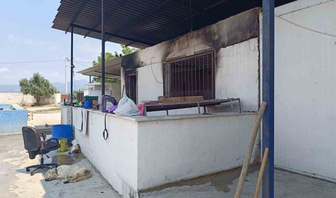 Turgutlu’da yanan çiftlik evinden ceset çıktı: 3 gözaltı MANİSA (İHA) – Manisa’nın Turgutlu ilçesinde çiftlik evinde çıkan yangında