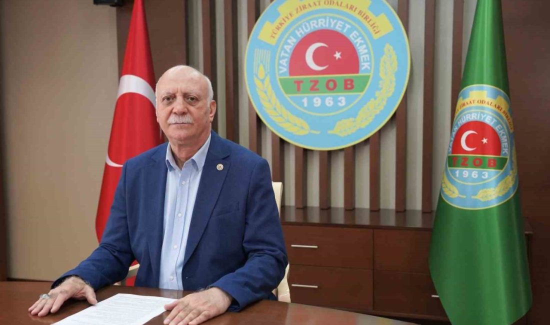 TZOB Başkanı Bayraktar, Temmuz ayı aylık ve yıllık girdi fiyatlarındaki değişimi değerlendirdi: Türkiye Ziraat Odaları Birliği (TZOB) Genel Başkanı Şemsi Bayraktar, Temmuz