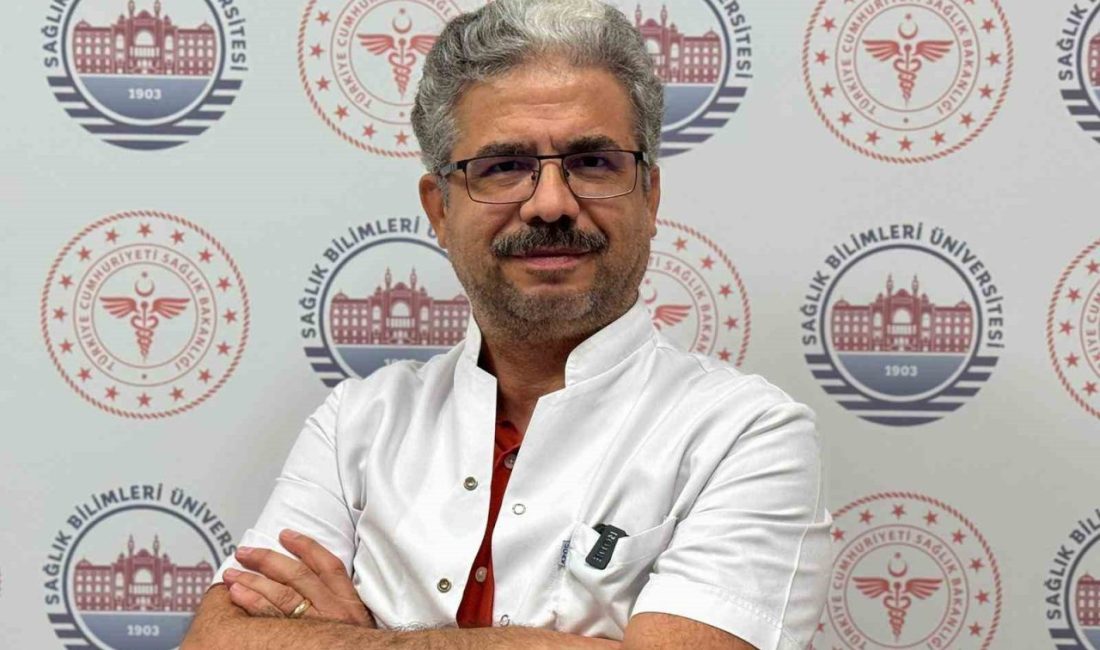 Diyarbakır Gazi Yaşargil Eğitim ve Araştırma Hastanesi Göğüs Hastalıkları Uzmanı