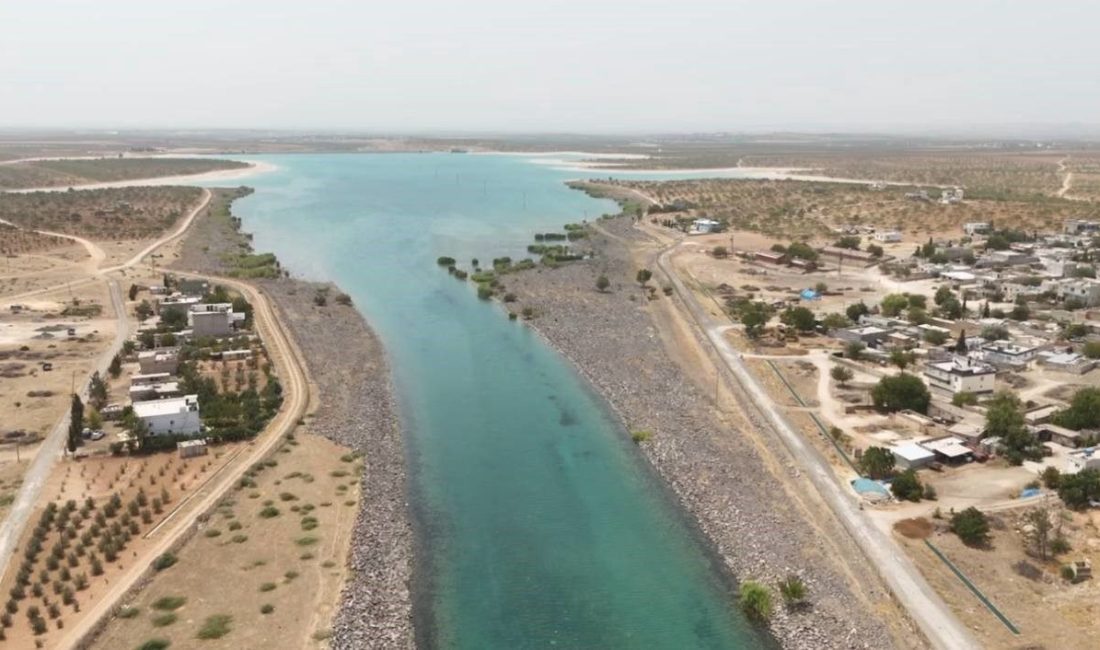 Türkiye’nin en sıcak ve kurak bölgelerinden biri olan Şanlıurfa’da, Ziraat