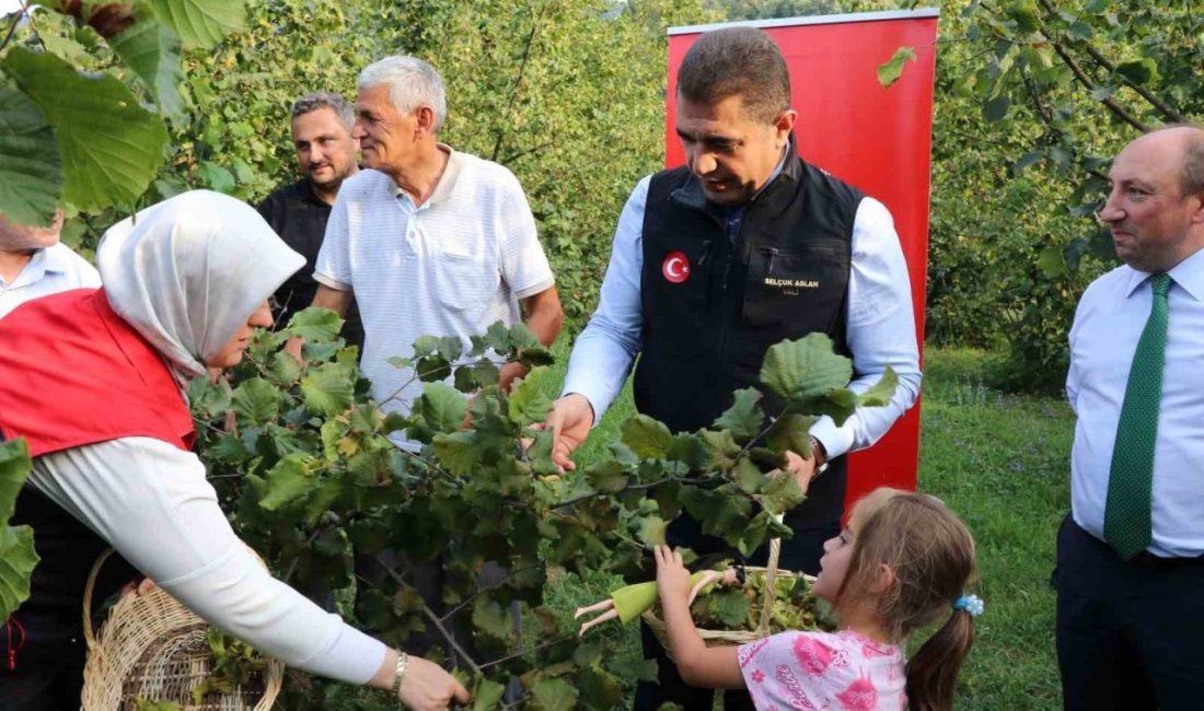 DÜZCE (İHA) – Düzce İl Tarım ve Orman Müdürlüğü’nün yaptığı