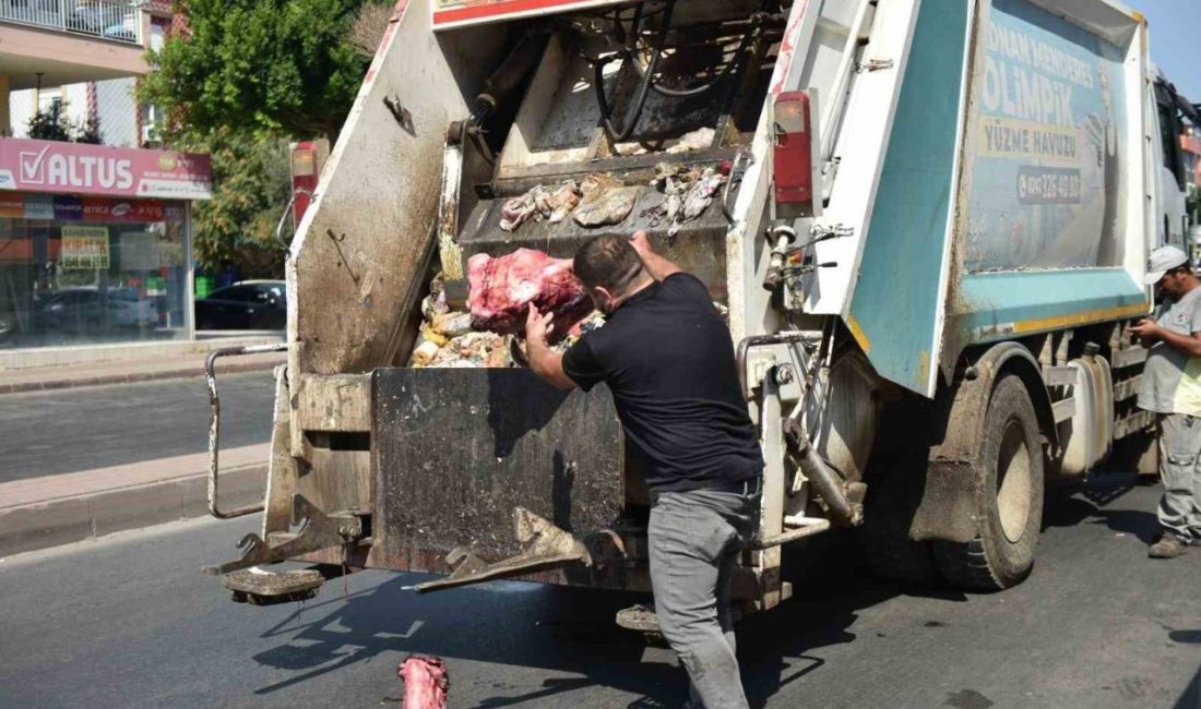 Yumurta paketinden hamam böceği yumurtaları çıktı, yapılan denetimden çıkanlar şoke etti Kepez Belediyesi Zabıta Müdürlüğü ve İlçe Tarım ve Orman Müdürlüğü