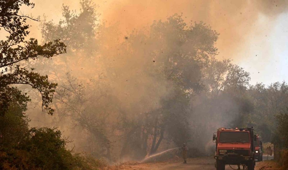 Yunanistan’da devam eden orman yangınlarında yerleşim yerlerine yayılan alevler, evleri,