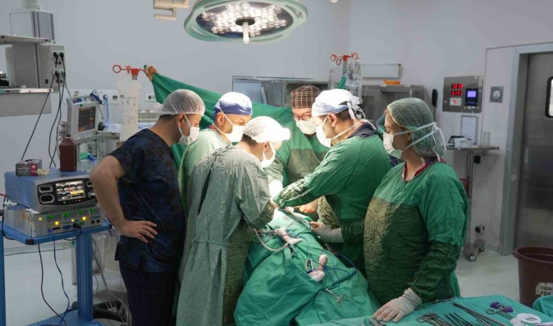Malatya Eğitim ve Araştırma Hastanesi’nde gerçekleştirilen başarılı operasyonla, 60 yaşındaki