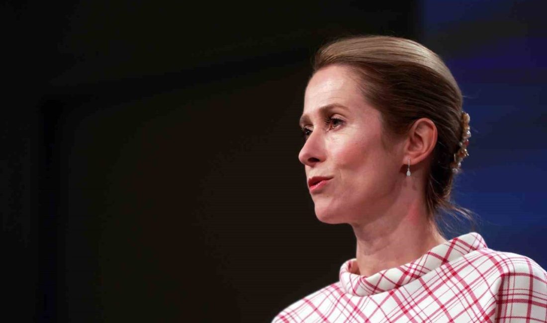 AB Dış İlişkiler ve Güvenlik Politikaları Yüksek Temsilcisi Kaja Kallas,