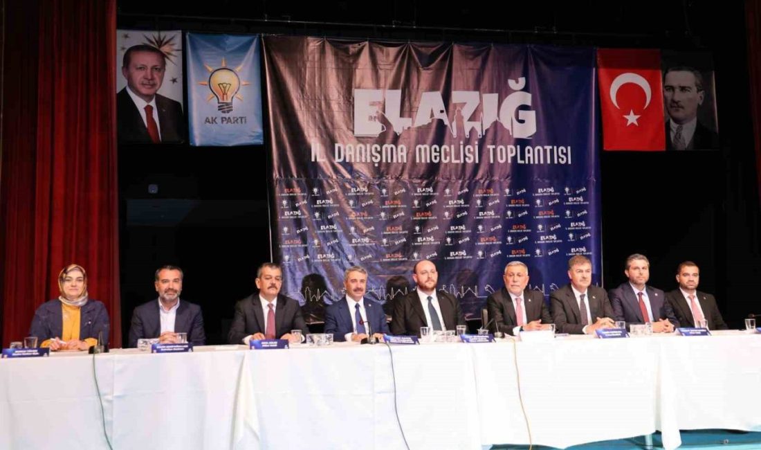 AK Parti Elazığ İl Danışma Meclisi Toplantısı, AK Parti Genel