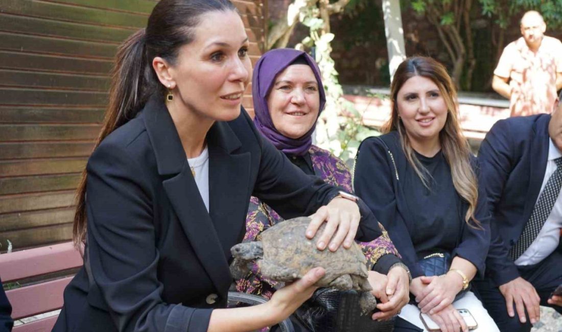 AK Parti Genel Başkan Yardımcısı Çiğdem Karaaslan, Türkiye Yüzyılı Buluşmaları