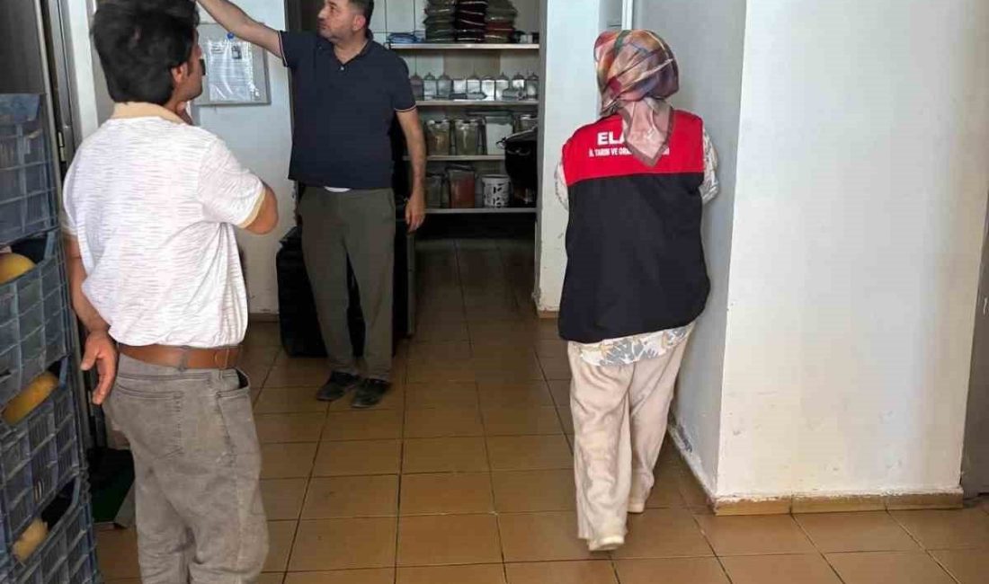 Arıcak ilçesinde ekipler tarafından gıda üretim yerlerine yönelik gıda denetim